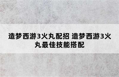 造梦西游3火丸配招 造梦西游3火丸最佳技能搭配